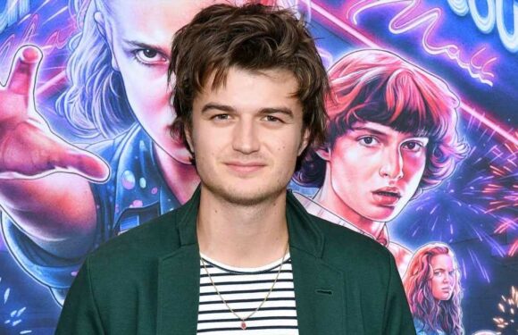 "Stranger Things"-Finale: Joe Keery hat gemischte Gefühle