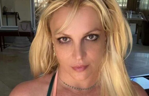 Britney Spears und ihr Ex-Haushälter sollen getrennt sein