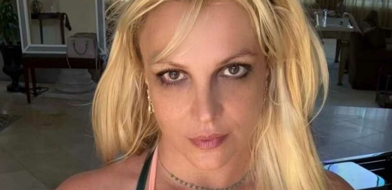 Britney Spears und ihr Ex-Haushälter sollen getrennt sein