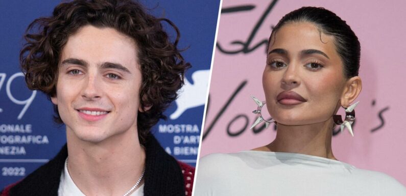 Kylie Jenner und Timothée Chalamet turteln wieder!