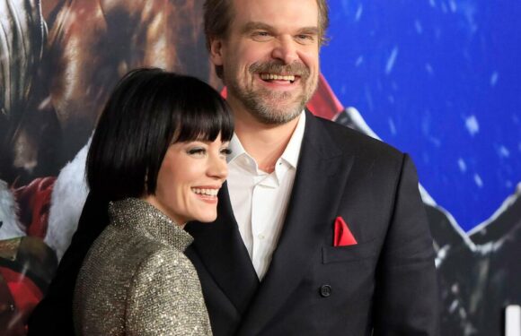 Lily Allen über Hochzeit: David Harbour war nur zweitbeste Entscheidung ihres Lebens