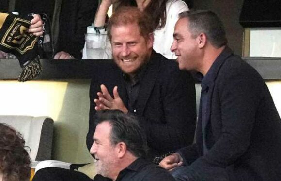 Nach schmollendem Konzert-Besuch: Beweisfotos! Ohne Meghan kann Harry wieder lachen