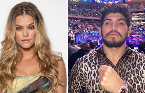 Nina Agdal erwirkt einstweilige Verfügung gegen Dillon Danis