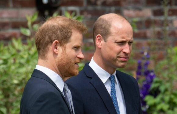 Prinz Harry: Keine Aussprache mit William während seines UK-Besuchs