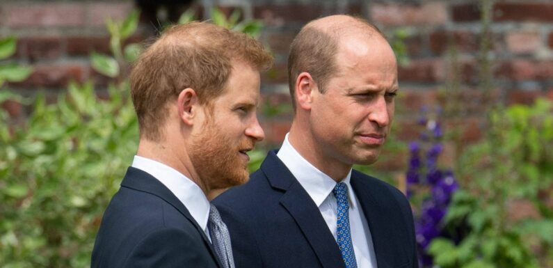 Prinz Harry: Keine Aussprache mit William während seines UK-Besuchs