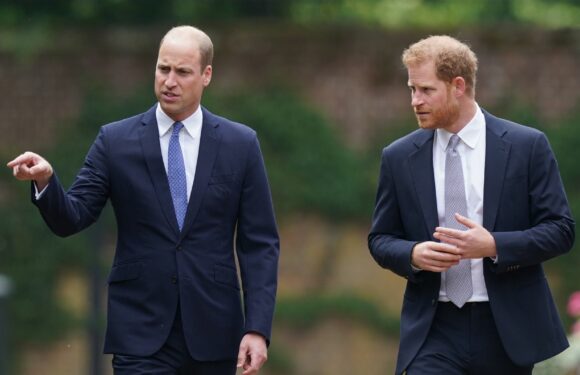 Wird Prinz William Prinz Harry zum Geburtstag gratulieren?