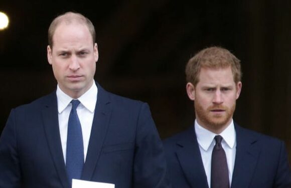 Zurück in London: Prinz William hat keine Lust auf Harry