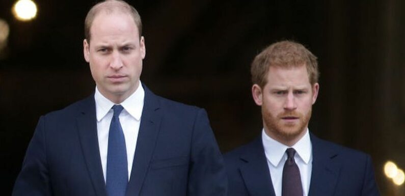 Zurück in London: Prinz William hat keine Lust auf Harry