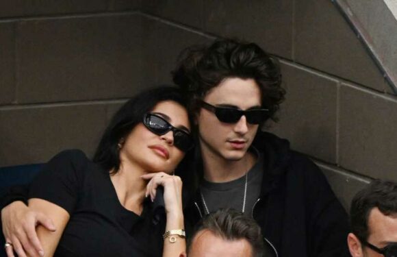 Darum hat Timothée Kylie Jenners Kinder noch nicht gesehen!