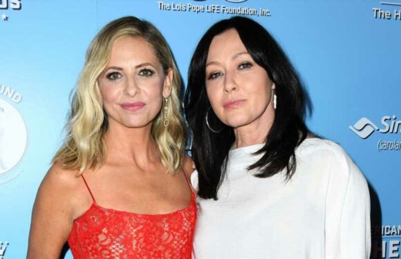 Erbitterter Krebskampf: So geht es Shannen Doherty aktuell