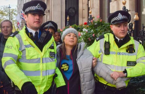 Greta Thunberg wurde bei Klima-Demo in London verhaftet!