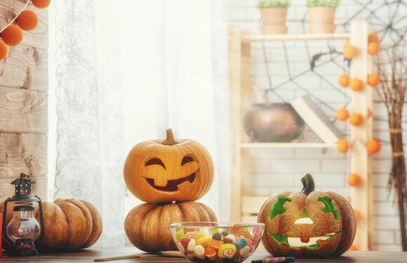 Halloween-Deko: Die schaurig-schönsten Ideen für die gruseligste Deko des Jahres