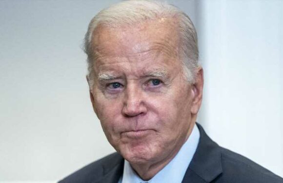 Joe Biden: Trennung von Hund Commander! Es herrscht nur noch Angst und Schrecken | InTouch