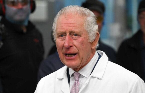 König Charles III.: Die Vorbereitungen zu seinem 75. Geburtstag laufen auf Hochtouren | InTouch