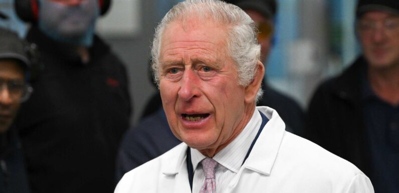 König Charles III.: Die Vorbereitungen zu seinem 75. Geburtstag laufen auf Hochtouren | InTouch