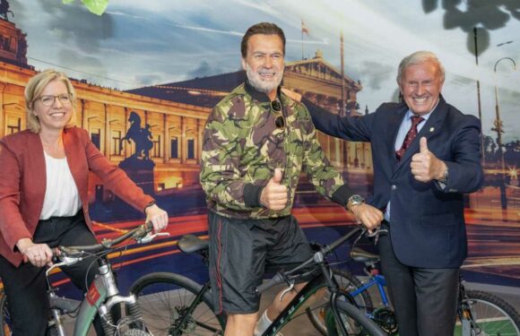 Mit Drahtesel auf Wiener Ringstraße: Neue Schwarzenegger-Wachsfigur bei Madame Tussauds