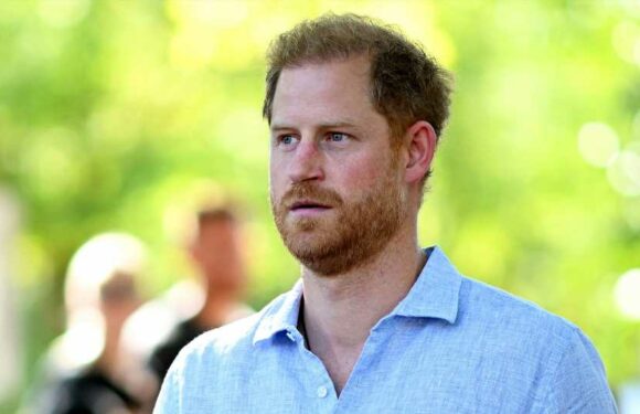 Neuer Streit? Palast besorgt über Prinz Harrys Verbündete