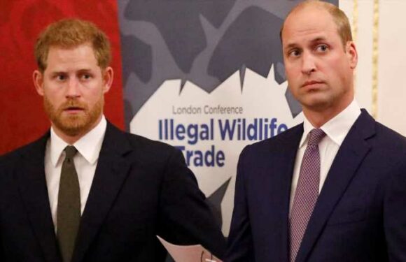 Prinz William: Jetzt verdrängt er Prinz Harry auch noch in Amerika | InTouch