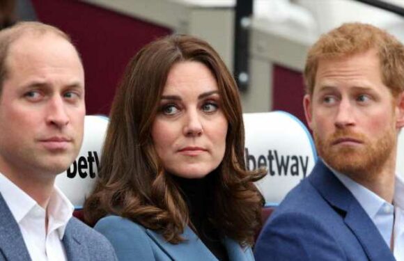 Schulnoten offenbaren: DIESER Royal ist am intelligentesten