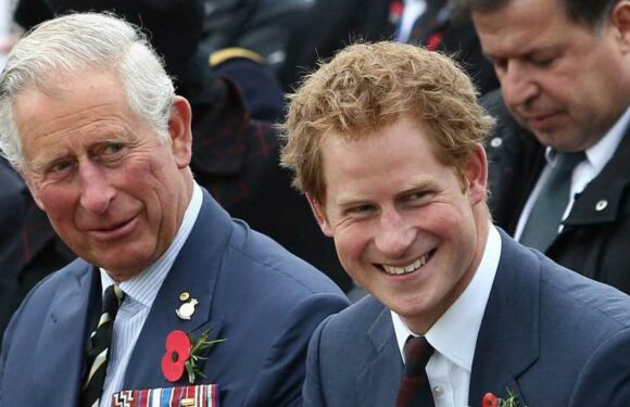 König Charles erhält süße Geburtstagsgrüße von Harrys Kids