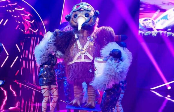 Maske rutscht weg: Fans enttarnen den "Masked Singer"-Kiwi!