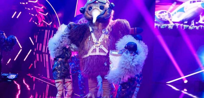 Maske rutscht weg: Fans enttarnen den "Masked Singer"-Kiwi!