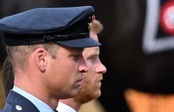 Prinz Harry und Prinz William: Unerwartete Versöhnung! Sie wollen das Erbe ihrer Mutter bewahren | InTouch