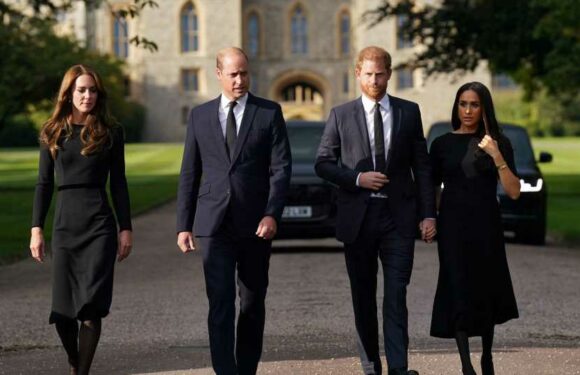 Prinz William findet Prinz Harry und Meghan "heuchlerisch"