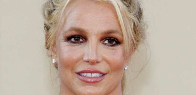 Britney Spears: Ihre Söhne wenden sich von ihr ab | InTouch