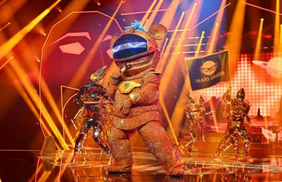 Fans wussten es: Er war die "The Masked Singer"-Marsmaus!