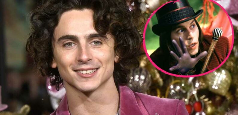 Holte Timothée Chalamet für "Wonka" Tipps bei Johnny Depp?