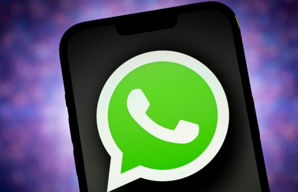 InTouch Online ist jetzt auf WhatsApp! | InTouch