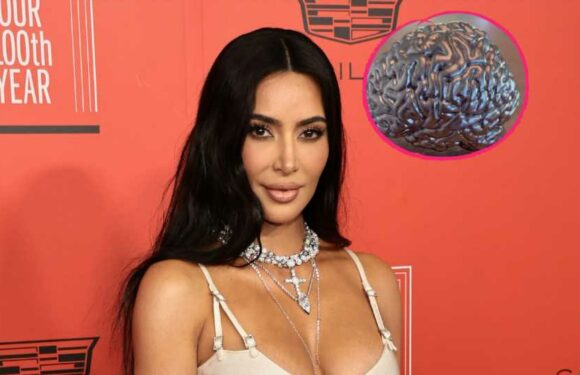 Skurril! Kim Kardashian bekommt Gehirn-Skulptur geschenkt