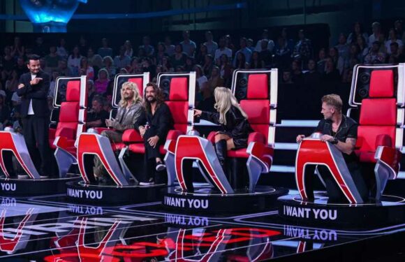 "The Voice of Germany"-Juroren bekommen verrückte Preise