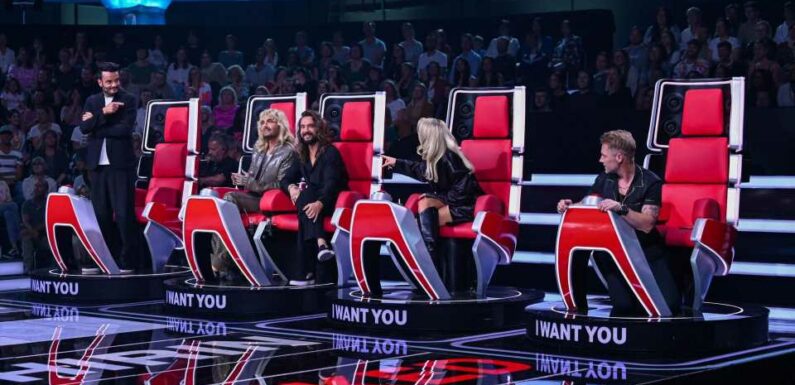 "The Voice of Germany"-Juroren bekommen verrückte Preise